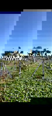 Chính chủ gửi bán nhanh lô đất nhầm xoay tiền đóng lãi ngân hàng