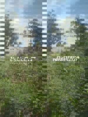 Bán nhà vườn cây ăn trái