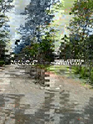 Chính chủ cần bán lô đất 4x20 đường số 20, kdc lợi bình nhơn