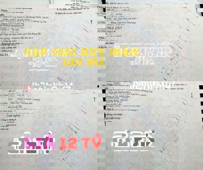 Bán 1 cặp mặt tiền Đường Chu Huy Mân, Nại Hiên Đông, Sơn Trà, Đà Nẵng