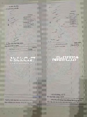 Tổng hợp hàng nắm chủ khu điện ngọc giá tốt