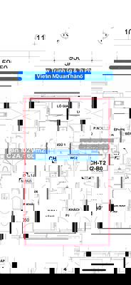 CHÍNH CHỦ BÁN CĂN HỘ CAO CẤP DỰ ÁN THIÊN QUÂN MARINA PLAZA 60m2-2PN
