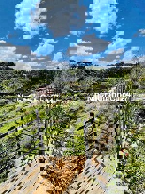 Cần bán gấp lô đất 2000m2/1,1tỷ gồm sân vườn, cổng rào, nhà tiền chế.