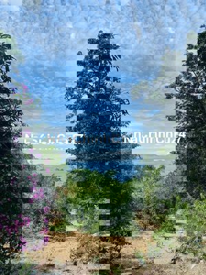 BÁN LÔ ĐẤT GẦN BIỂN — PHƯỜNG VĨNH HOÀ —TP NHA TRANG