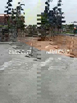 chính chủ *** còn sót lại 1 lô F0 ngoài tự nhiên