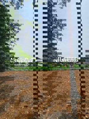 chính chủ cần bán đất nam phương tiến