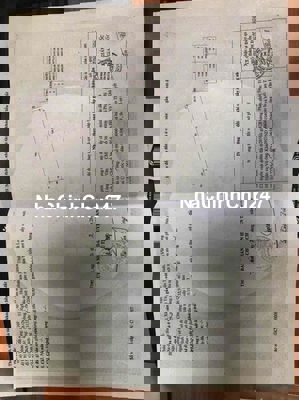 (Chính Chủ) Đất Cây Lâu năm Ngãi Tứ Tam Bình Vĩnh Long