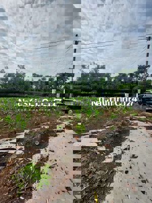 Bất view sông chính chủ