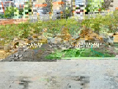 Bán đất Thôn Trung Hậu Đoài, Tiền Phong, Mê Linh - Sổ đỏ chính chủ,