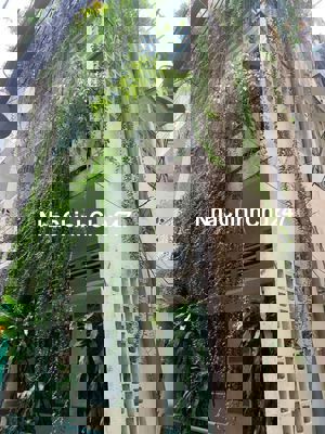 Nhà chính chủ 476/2 Lê Văn Sỹ