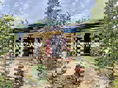 CHỦ GỬI BÁN NHÀ VƯỜN TẠI CHƠN THÀNH -BÌNH PHƯỚC