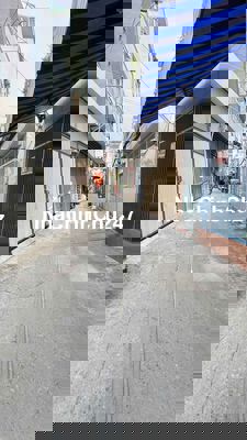 Chủ ngộp cần ra đi em nó !!!