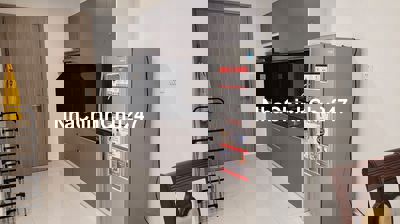 Chính chủ bán CH S8.0105.19 2pn 59m2 Vinhomes Grand Park full nội thất