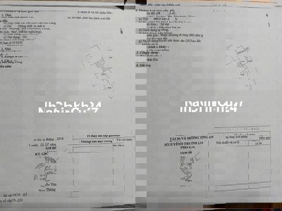 CHÍNH CHỦ bán nền đất lúa 2000m2 tại Tân Lân, Cần Đước, Long An