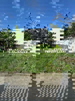 Chủ ngộp cần ra gấp 8x20 đất thổ cư chính chủ