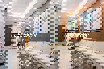 Bán gấp căn hộ Đất Phương Nam Bình Thạnh, 2PN, đủ nội thất, sổ hồng