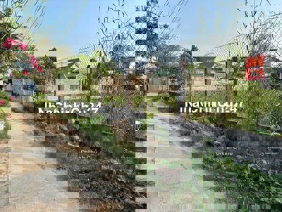 Chính chủ cần bán đất đường Rạch Giồng KP Quyết Thắng phường Khánh Hậu