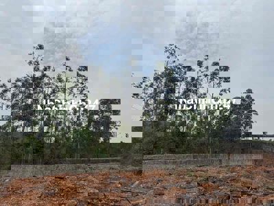 Chính chủ bán đất Lục Nam- Bắc Giang 420m, mt 12m, giá 1.5 tỷ.