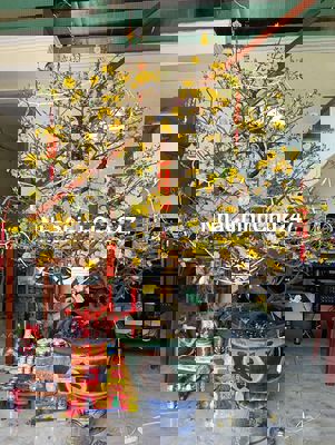 BÁN ĐẤT tặng nhà mặt tiền đường hòa minh 14 đường 5m5 lể 3m