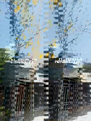 Đất chính chủ có sẵn xác nhà đã có sẵn đồng hồ điện điện xài nhà nước