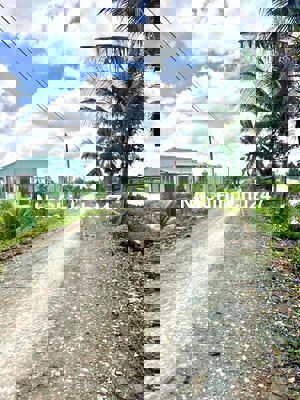 đất vườn được lên thổ 1300m2 , bình đức - bến lức LA , giá : 1ty300