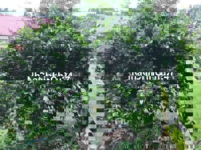 Bán đất Mặt Tiền Phan Chu Trinh