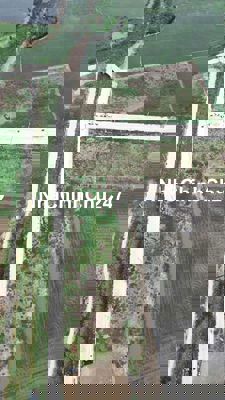 Nền thổ cư khu công nghiệp Thạnh Lộc
👉 cách KCN và chợ 200m