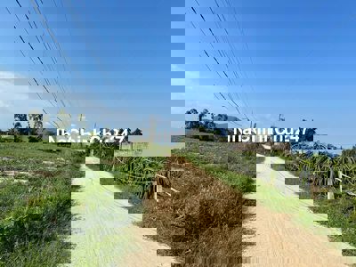 Bán Nhanh 1000m2 Giá Chỉ 800 Triệu – Cơ Hội Đầu Tư Không Thể Bỏ Lỡ!