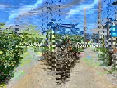 Chính Chủ Gửi 300m2 Đất Thổ, Mặt Tiền Đường, Giá Rẻ, Sổ Hồng Riêng