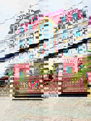 Chính Chủ Gửi Bán Gấp Lô Đất Thổ Cư Ngay Trung Tâm Thủ Thừa Long An