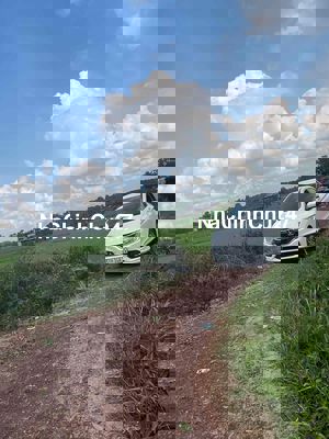 Đất trồng cây lâu năm 2.026,9 m2 Mặt tiền Kênh Trung Đông 7