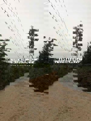 Bán 1 sào đất mặt tiền đường nhựa Xuân Quế-Hàng Gòn tại Tp Long Khánh