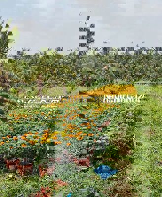 Đất Mặt Lộ Đẹp