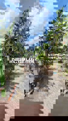 MẶT TIỀN VƯỜN LÀI 848M2 20TỶ