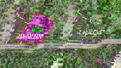 [HOT] 1000m2 mặt tiền nhựa xe hơi - đất ở - đủ cây ăn trái chỉ 2ty150