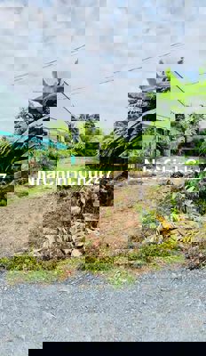 ĐẤT THỔ CƯ - DIỆN TÍCH 473m2 - GIÁ BÁN 3,5 TỶ - XÃ PHƯỚC LÂM