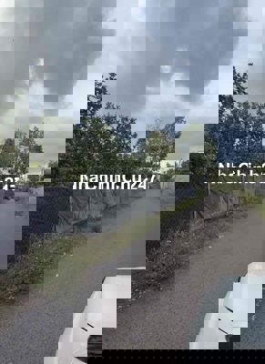 Chủ Cần Bán Gấp 2 Sào Bưởi Mặt Tiền Nhựa 25x80