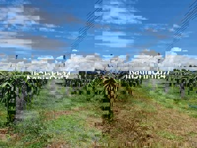 Bán đất QH TMDV mặt tiềnliên tỉnh, gần biển Nova, Bình Thuận, 8,8ha