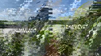 bán gấp đất mặt sông rạch cá gấu lớn 1000m2