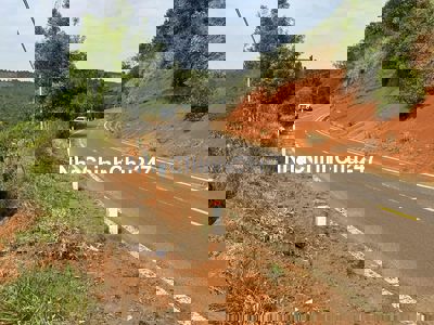 đất mặt tiền đường nhựa dt725