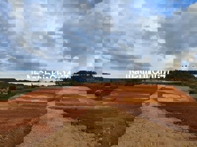 Hơn 4 hecta sẵn 250m mặt đường gần Khu công nghiệp Phú hội