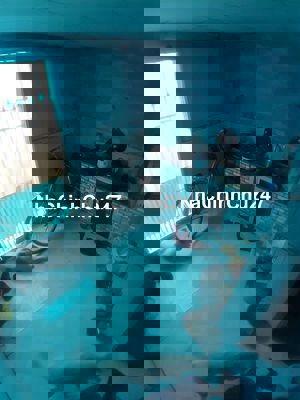 Giá chính chủ 2 lầu nhỏ