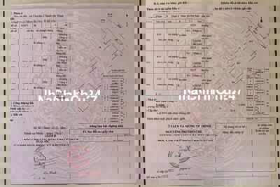 Cần tiền bán gấp 4000m Đất mặt tiền đường Đá Xanh Lý Nhơn,Cần Giờ, HCM