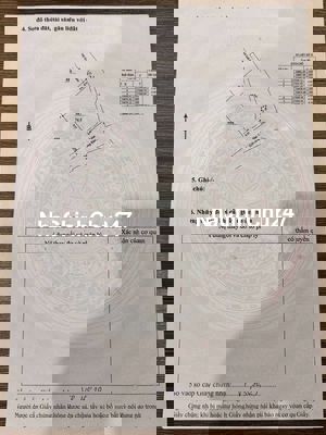 🚨 CHÍNH CHỦ GỬI BÁN 3 LÔ ĐẤT LIỀN KỀ – KIỆT BÀU HẠC, Gần Big C ĐÀ NẴN