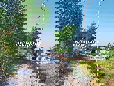 Mặt tiền kênh Cá Ngựa - 1000m2 vuông sạch đẹp