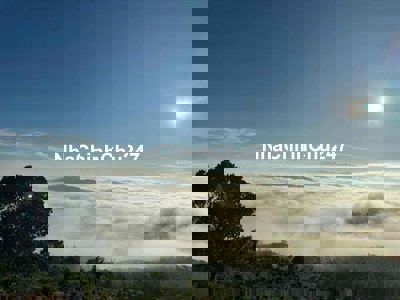 ĐẤT VIEW SĂN MÂY 2 MẶT TIỀN THÔN 16 - LỘC THÀNH - BẢO LÂM