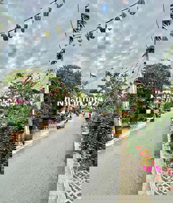 Đất ngay ngã tư ga đường 6m hướng tây bắc, qua Gò Vấp 5 phút