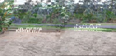 Bán đất mặt tiền Quốc lộ Nam sông Hậu 5.000m2 nở hậu