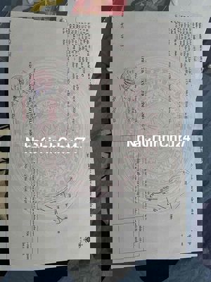 đất vườn 185tr/1000m2 bảo lộc