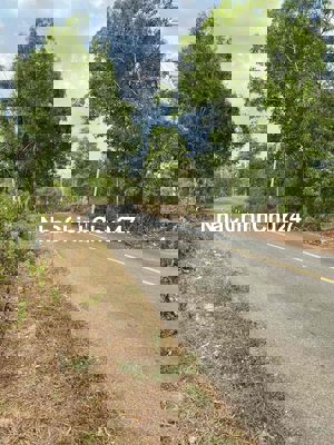 BÁN ĐẤT NÔNG NGHIỆP  DT 850M2, ĐẤT MẶT TIẾN RỘNG 12M, GẤN KHU DU LỊCH.